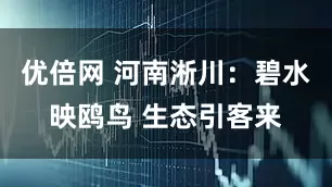 优倍网 河南淅川：碧水映鸥鸟 生态引客来